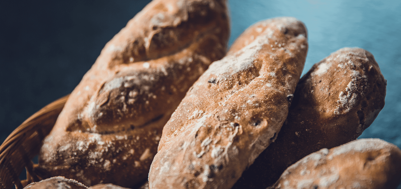 Testing Categories and URL Formatting